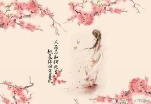 美髯公配角　《猜动物器官一》