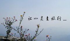 隔岸观火_无动于衷 《打一成语》
