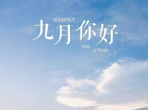 远方大雁心挂牵 《打一成语》