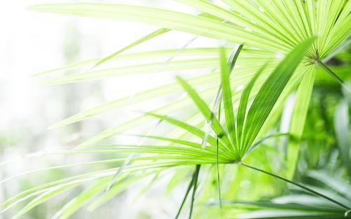 把得家书泪似珠 《广播用语》