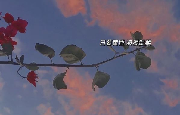 陆虞侯只躲在太尉府内_亦不敢回家 《打一成语》