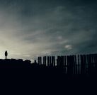 红头绿身真漂亮_五彩薄衫披两边_可是专干坏勾当_传播痢疾和霍乱《猜一昆虫》