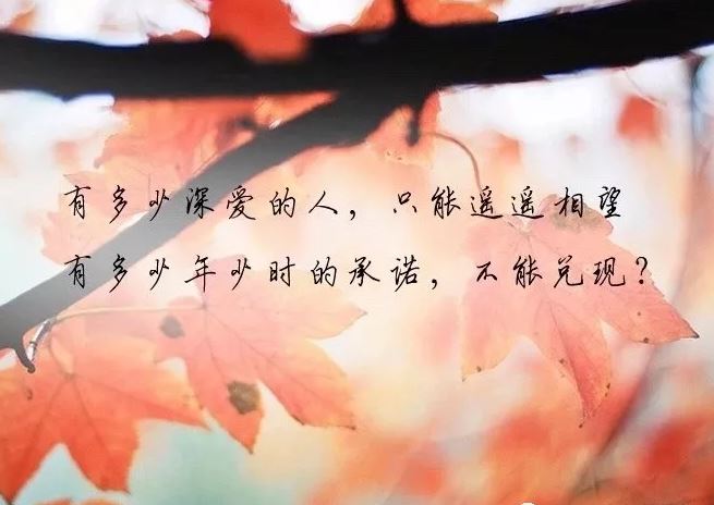 景观带 《打一成语》