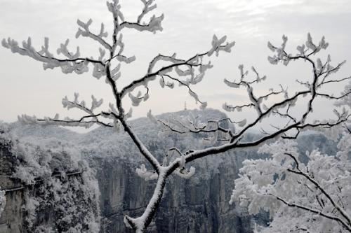 "野渡燕穿杨柳雨" 《病名》