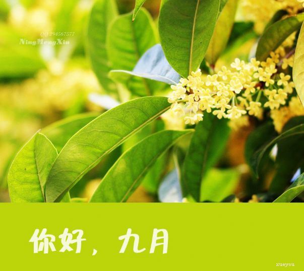 有关建军节的谜语