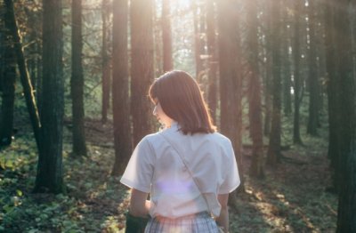 公孙述据蜀称帝 《打一成语》