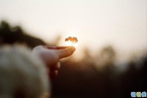 年纪并不大_胡子一大把_不论遇见谁_总爱喊妈妈《猜一动物》