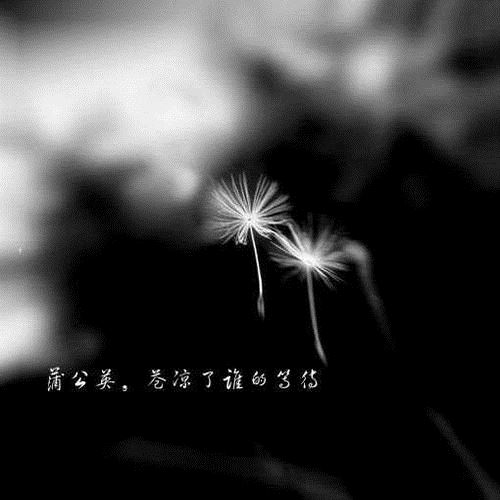 为祝家君寿永年 《打一成语》