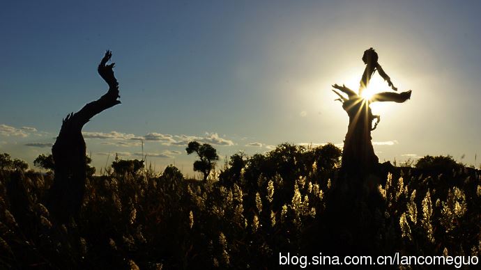 朝鲜中部一住十一载　《猜水产品》