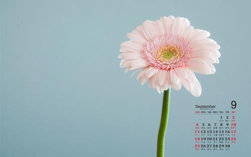 今日俸银过十万 《打一成语》