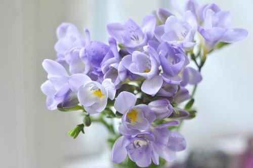 猜谜语题目:点点成金《打一个字》