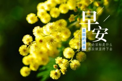 欲加之罪_何患无辞 《打一成语》