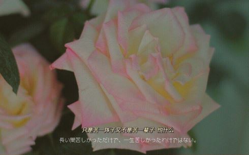 明明是个“错”字_为什么小华却偏偏说要“对”？
