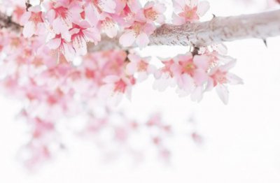 指点捷径 《打一成语》