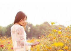 华夏后代 《打一节日》