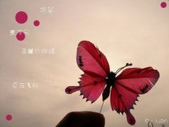 分明象是张子布 《成语_卷帘格》