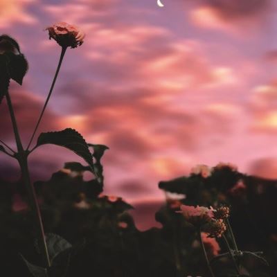 襟旷纳东溟 《打一成语》
