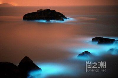 地面作生意 《中药_秋千格》