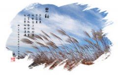 当下流行色极淡 《宋词》