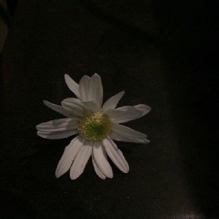 雄心相伴同纵横　《猜10笔字》