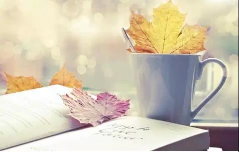 为你打我_为我打你-打到你皮开_打得我出血《猜一昆虫》