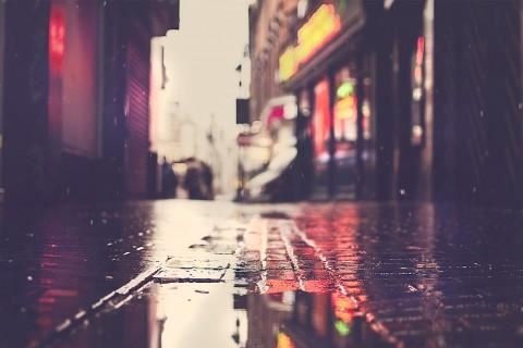 猪圈里的猪出来了_怎么办？猜一男明星的名字