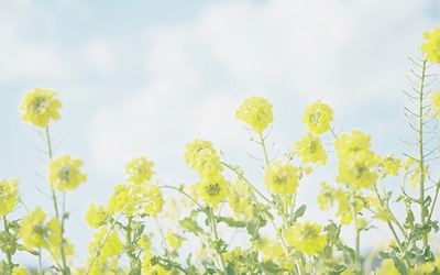 云外一帆悬 《打一成语》