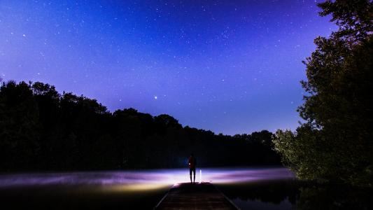 生来不像爹和娘_一辈不生儿和女-　《猜动物一》