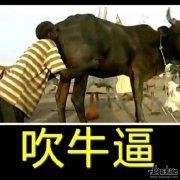 快到点_走快些 《打一成语》