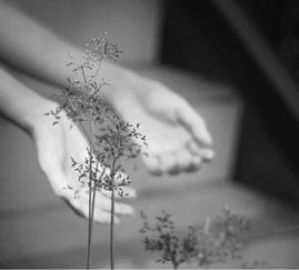 每次献血前饮点水 《歌曲》