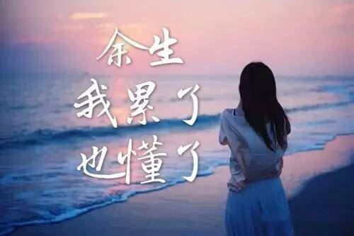 降价西瓜糖份少 《打一成语》