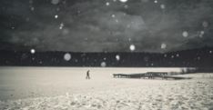 一肚子没学问_开口闭口知道_瞧瞧这小家伙_实在真是骄傲《猜一昆虫》