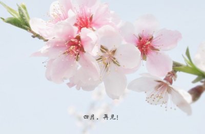 连夜外出 《打一字》