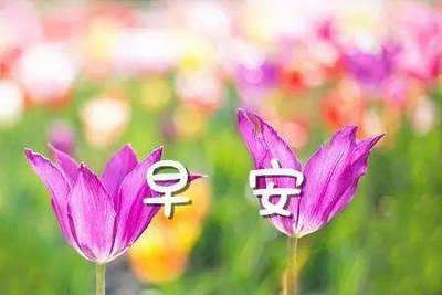 未到十六勿进位　《猜3字口语》