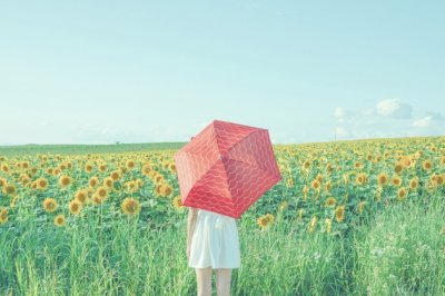 日飞落树上_夜晚到庙堂-不要看我小_有心肺肝肠《猜一种鸟》