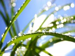 “二情同依依”　《猜歌手》