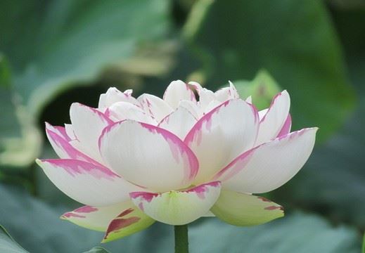 晒龙王 《四字历史名词》