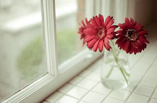 “……不解吝惜_我有佳梨_请出供客” 《四字市招》