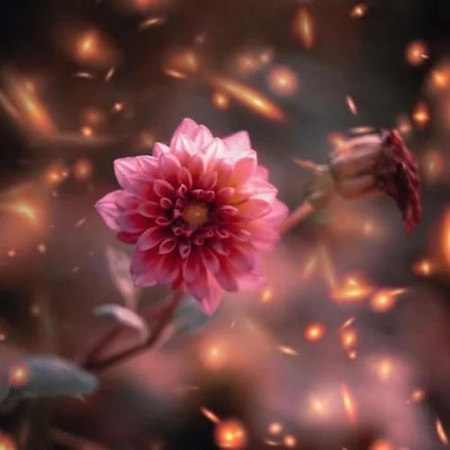 “水激石则鸣” 《环保词语》