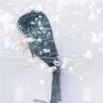 隔山隔水永相望 《打一成语》