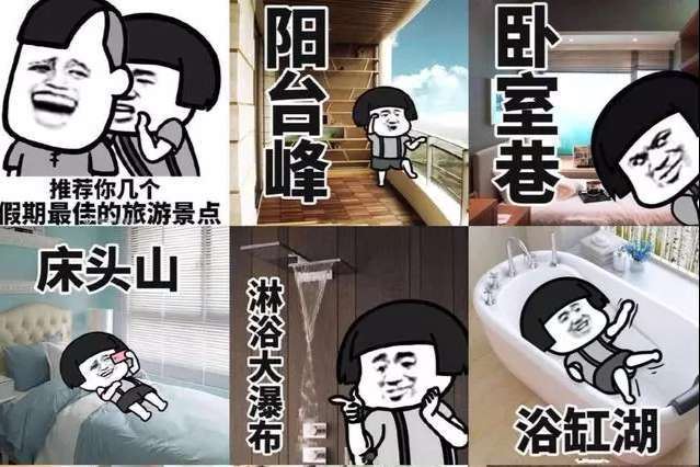 猜谜语题目:百年松柏老芭蕉《打一个成语》