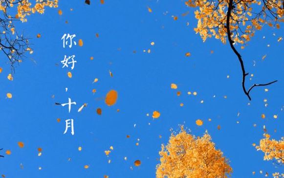 年底务上陕西聚 《打一字》