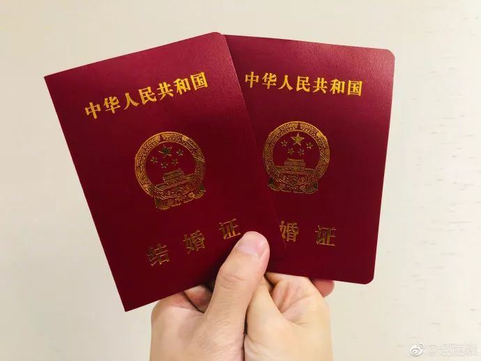 条 《打一成语》