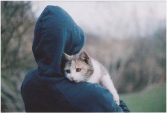 只售商铺　《猜一商业用语》