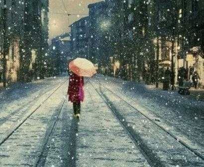 从里面逃逸之后舒服　《猜动物》