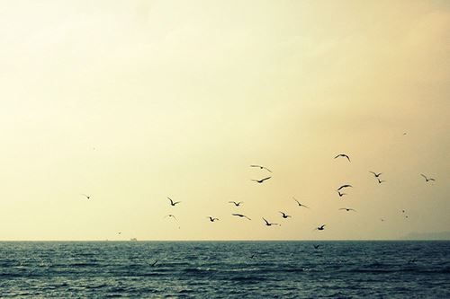 圣上登基之初_当以史为览 《艺人带影目》