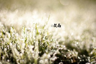 猜谜语题目:生产鞋袜不对外《打一个成语》