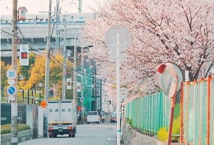说它是虎它不象_ 金钱印在黄袄上_ 站在山上吼一声_ 吓跑猴子吓跑狼