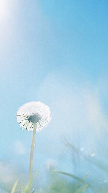 猜谜语题目:演员打斗真叫绝《打一个字》