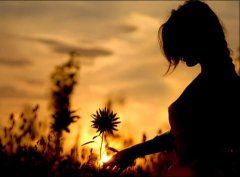 "玄鸟逝安适" 《泊人二》